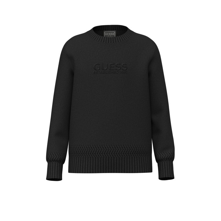 Maglione Logo Petto 3D