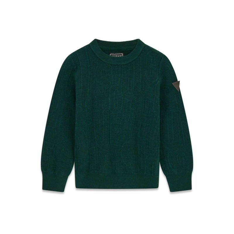 Maglione Logo 3D