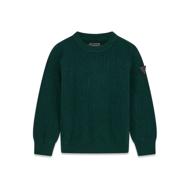 Maglione Logo 3D