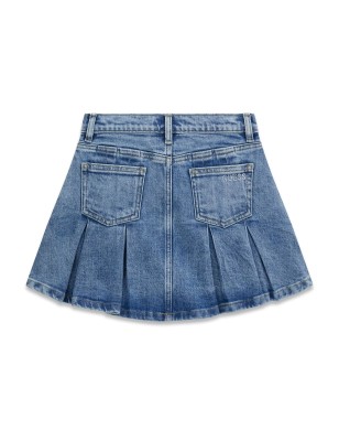 Mini Gonna in Jeans